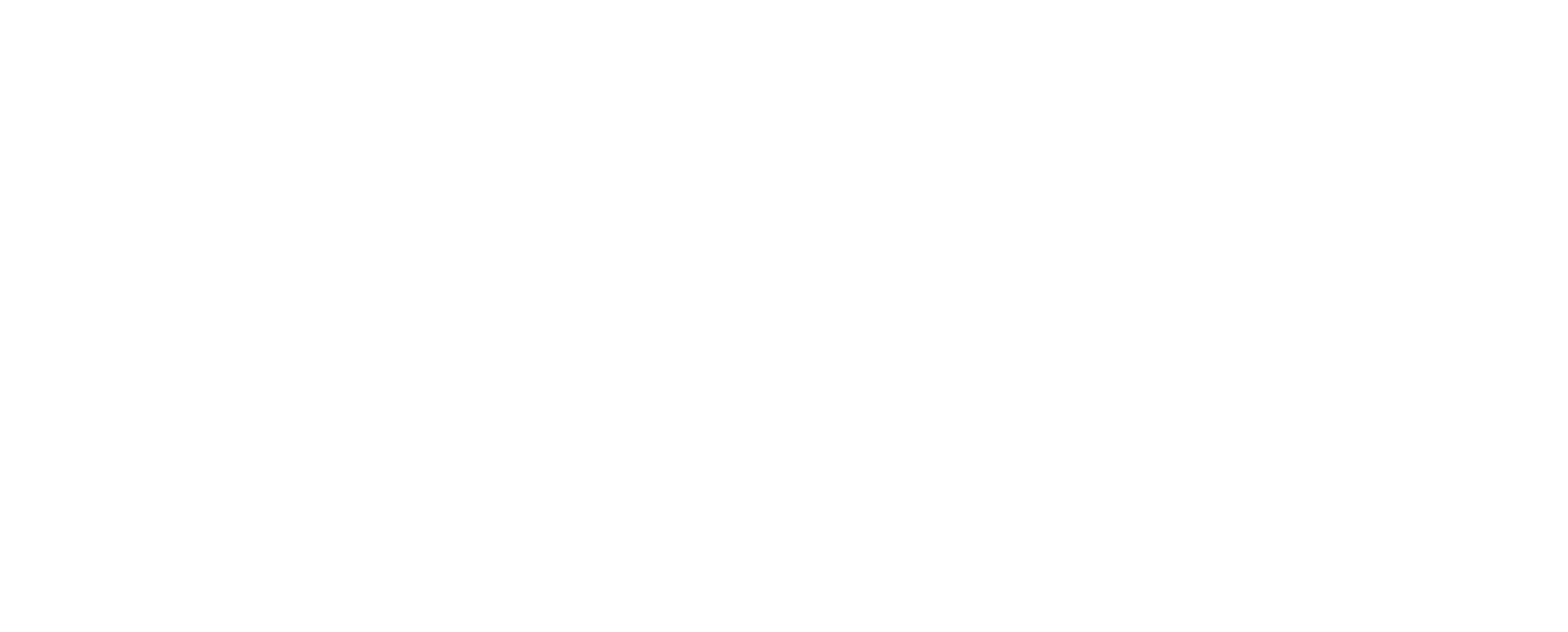Global Genius Construction